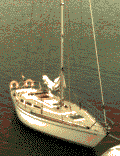 Firefly bow to the shore in Sweden