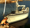 Firefly in Sweden from port.